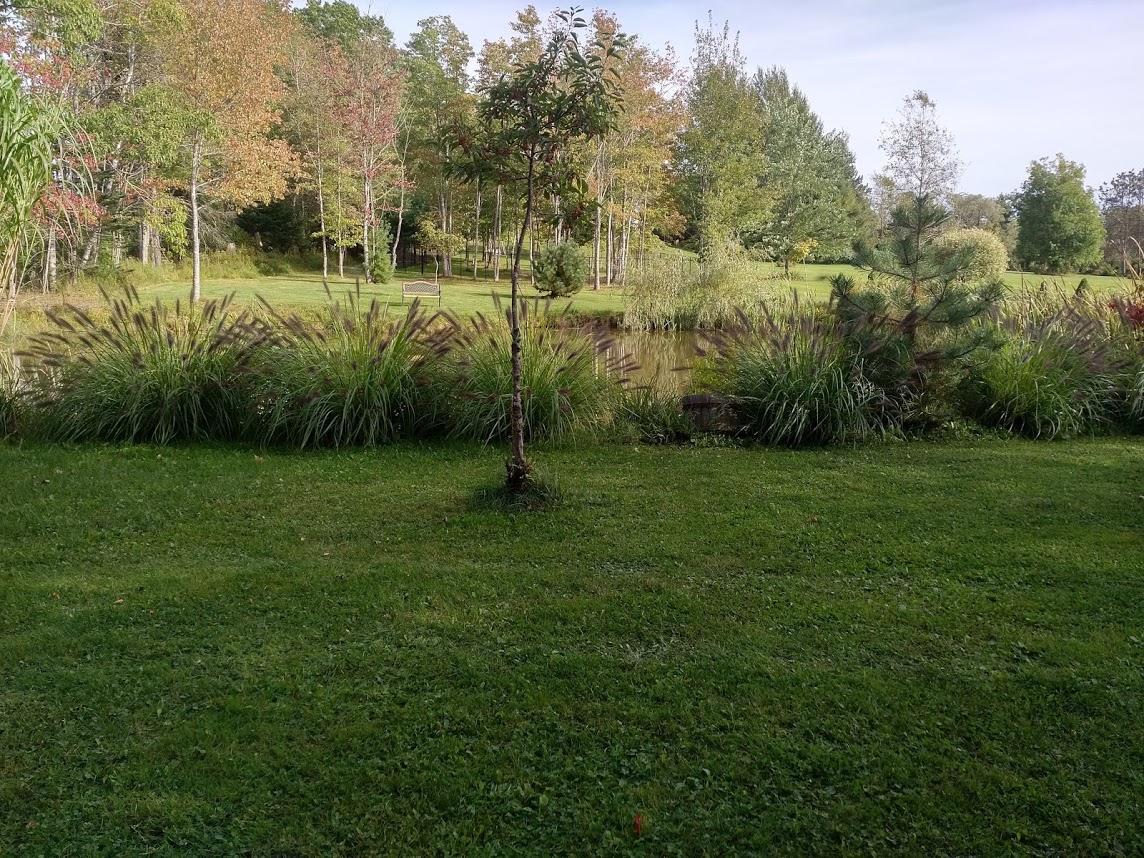 Briarwood Bed & Breakfast Elmsdale Camera foto