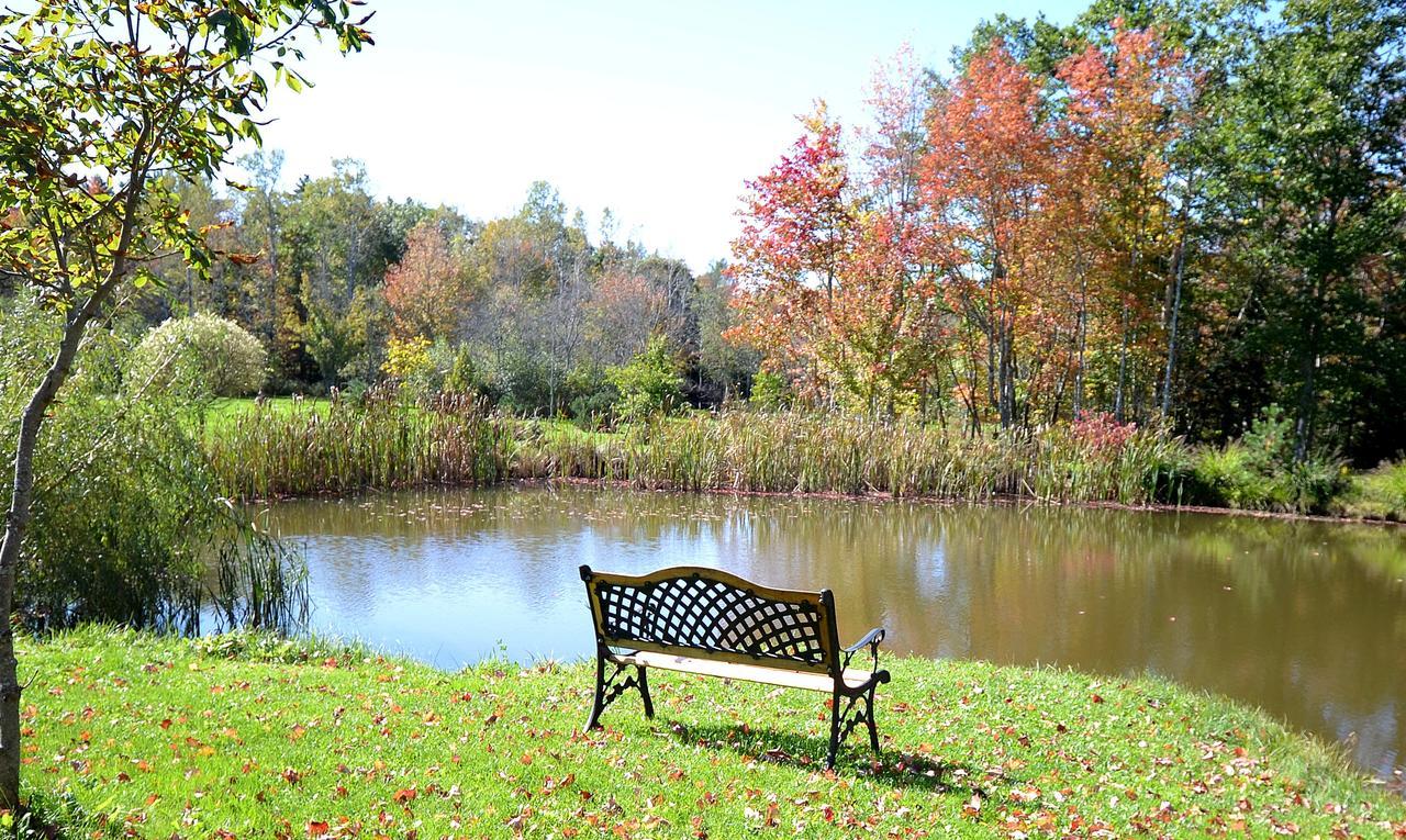 Briarwood Bed & Breakfast Elmsdale Camera foto