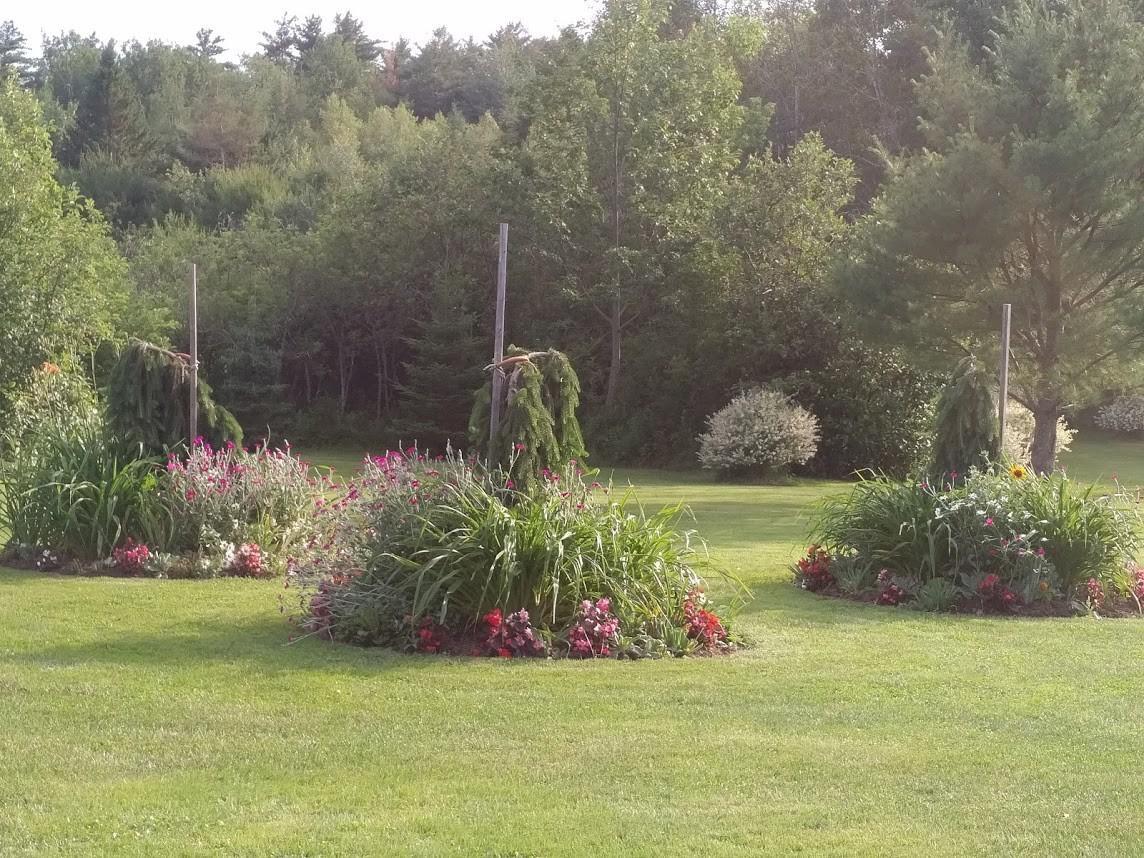 Briarwood Bed & Breakfast Elmsdale Esterno foto